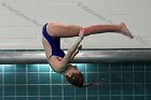 Women's Diving  Wheaton College Women’s Diving vs Mount Holyoke College. - Photo by Keith Nordstrom : Wheaton, Swimming & Diving